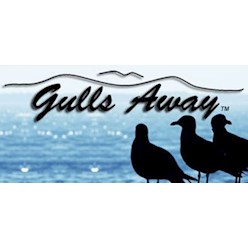 Gulls Away