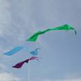 19ft Pennants for Dori Pole Kit
