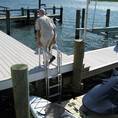 FloatStep Universal Boat Dock Ladder